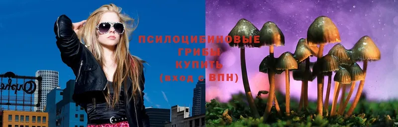 Галлюциногенные грибы MAGIC MUSHROOMS  Углегорск 